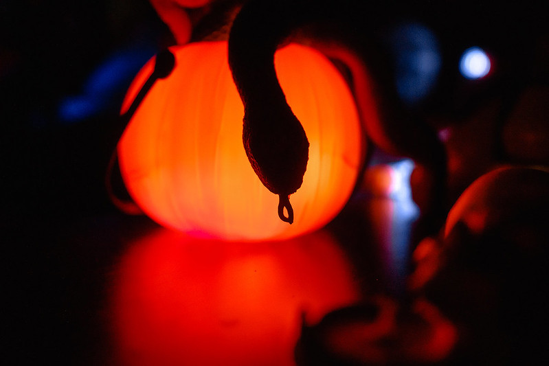 Украшение дома паутиной и летучими мышами к Хэллоуину в Одесі